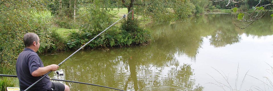 Fishing Lakes and Camping, Carmarthen, South West Wales